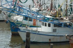 Louisiana Fishing Boats on Lake Pontchartrain