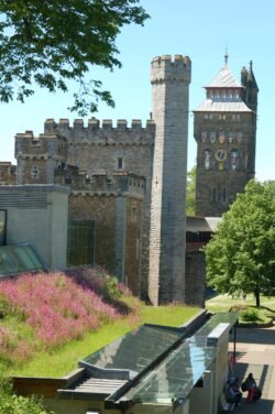 Cardiff Castle