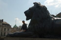 Winnie and The Lion