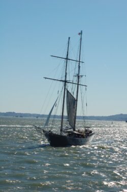 A Sailboat in New York Harbor