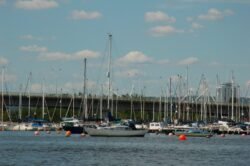 Marina in Cardiff Harbor