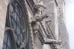 Gargoyles of Notre Dame