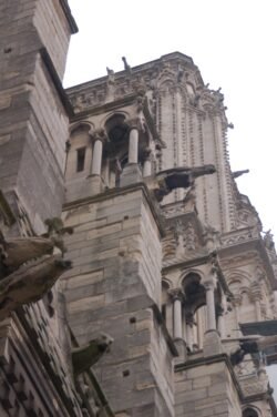 Gargoyles of Notre Dame