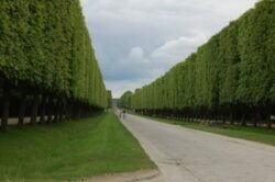 Gardens Outside Versailles