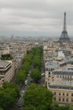 Looking Down Avenue D'Iena