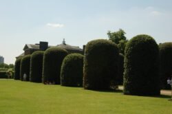 Formal Gardens at Kensington