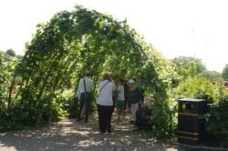 Covered Walkway