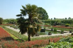 Sunken Garden Pond, Kensington Gardens