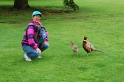 Winnie and the Pheasants