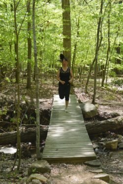 Winnie Crossing A Bridge