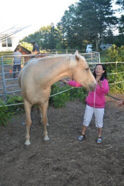 Winnie Brushing A Horse