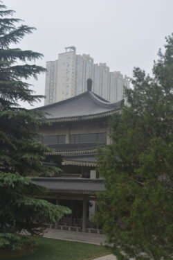 The Shaanxi History Museum in Xi'an a modern building in Tang dynasty style, flanked by trees with modern high-rise building behind it
