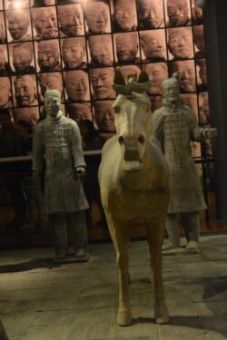 a terracotta horse in the foreground, with two warrior figures on either side behind it. The wall behind these figures has photos of different faces.