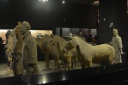 a group of terracotta warriors with a group of horses inside a protective glass case
