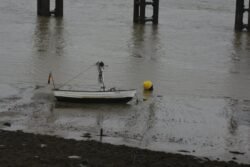 Low Tide
