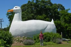 Winnie and the Big Duck