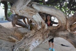 Winnie on Waikiki Beach