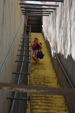 Winnie on Ninety-Nine Stairs