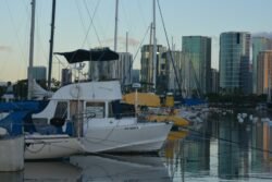 Boats in a Waikiki Marina