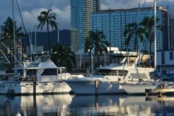 Boats in a Waikiki Marina