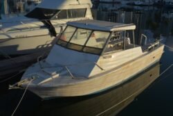 Small Dive Boat Looking for Charters