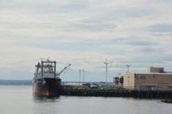 A Bulk Cargo Ship n Port Seattle