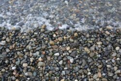 On Discovery Beach, Seattle, Washington