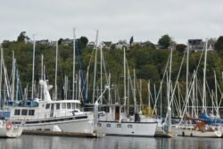 A Bevy of Boats in Elliott Marina