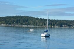 Sailboat in Port Orchard