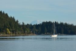 Sailboat in Port Orchard
