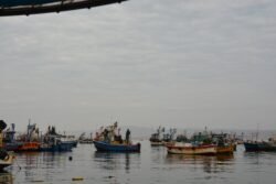 A Fleet of Fishing Boats in Paracas Bay, Peru