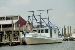 The Fishing Boat "Yankee"