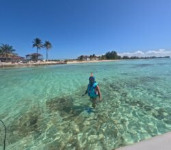 Winnie Snorkeling At Paradise Cove, Nassau, The Bahamas