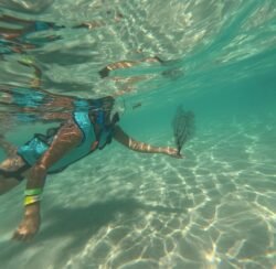 Winnie Holding A Sea Fan