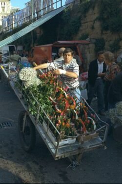 a flower vendor with his cart, selling flowers and fruit on a city street.