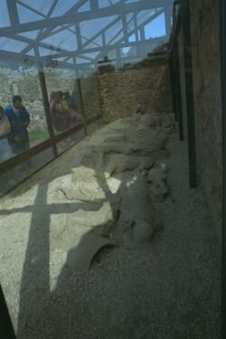 a scene of plaster figures in the shape of people, lying on a dirt floor behind a viewing glass.