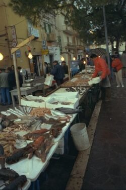 A long line of tables containing fresh-caught fish, along a roadway with people inspecting the fish.
