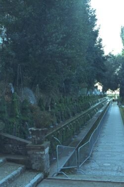 A lovely walkway lined with fountains and plants