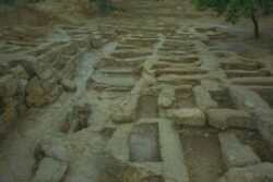 A field of coffin-sized rectangular excavations set in stone.