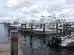A Group of Offshore Fishing Boats