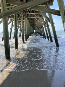 A view under the Myrtle Beach State Park pier
