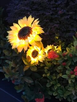 Illuminated Sunflowers large sunflower with internal illumination