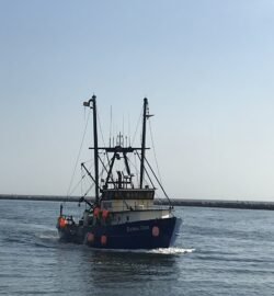 Fishing Boat "Debbie Ann" Returning To Port