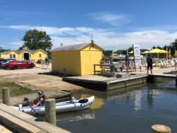 Winnie at East Moriches, Long Island