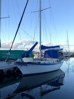 A Sailboat on an Hawaiian Morning