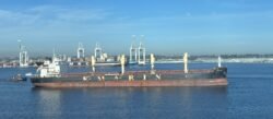 Bulk Carrier K. Marin Genoa