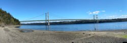A Panoramic image of the Tacoma Narrows Bridge, Tacoma, Washington
