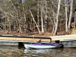 A Pelican At The Pier