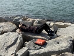 Winnie on the Rocks