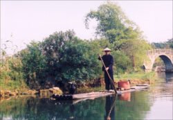 A Traditional Chinese boat made of large diameter bamboo tied together. These are extensively used on rivers and lakes for fishing and just getting around the water. I suspect these inspired the "Standup Paddle Boards" now popular in the US.
